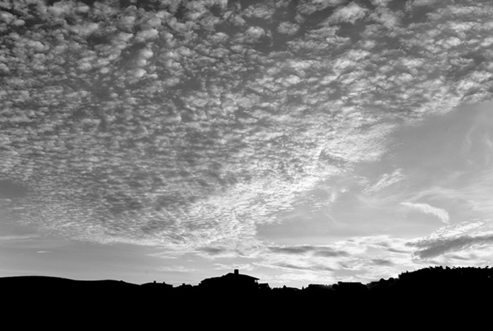 Coast Bluff