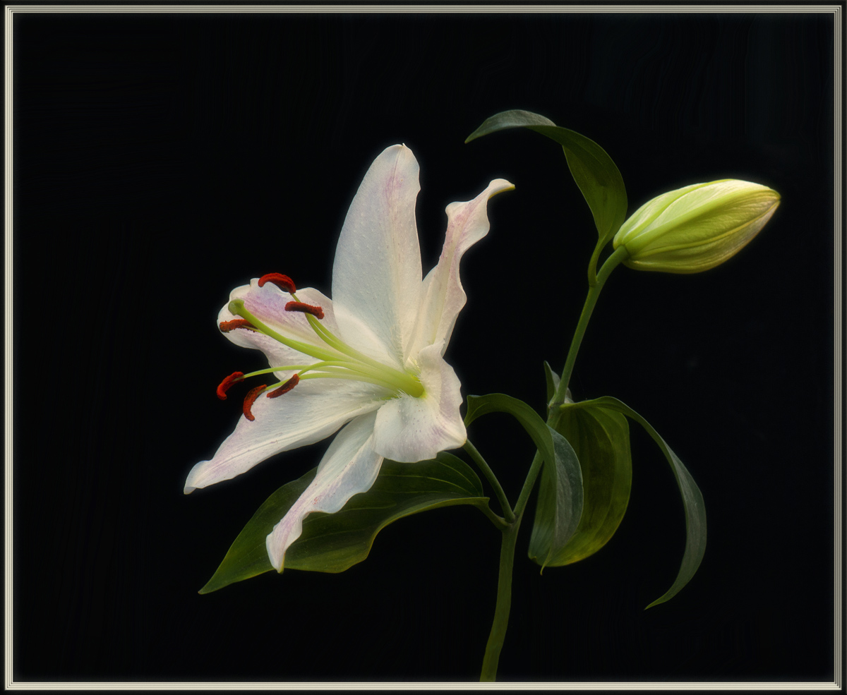 Grace
