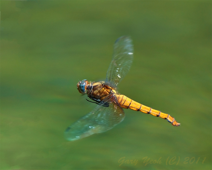 Flying start