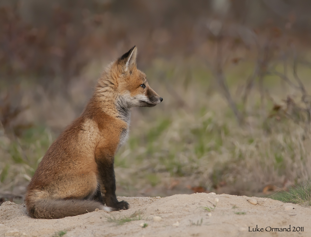 Contemplation