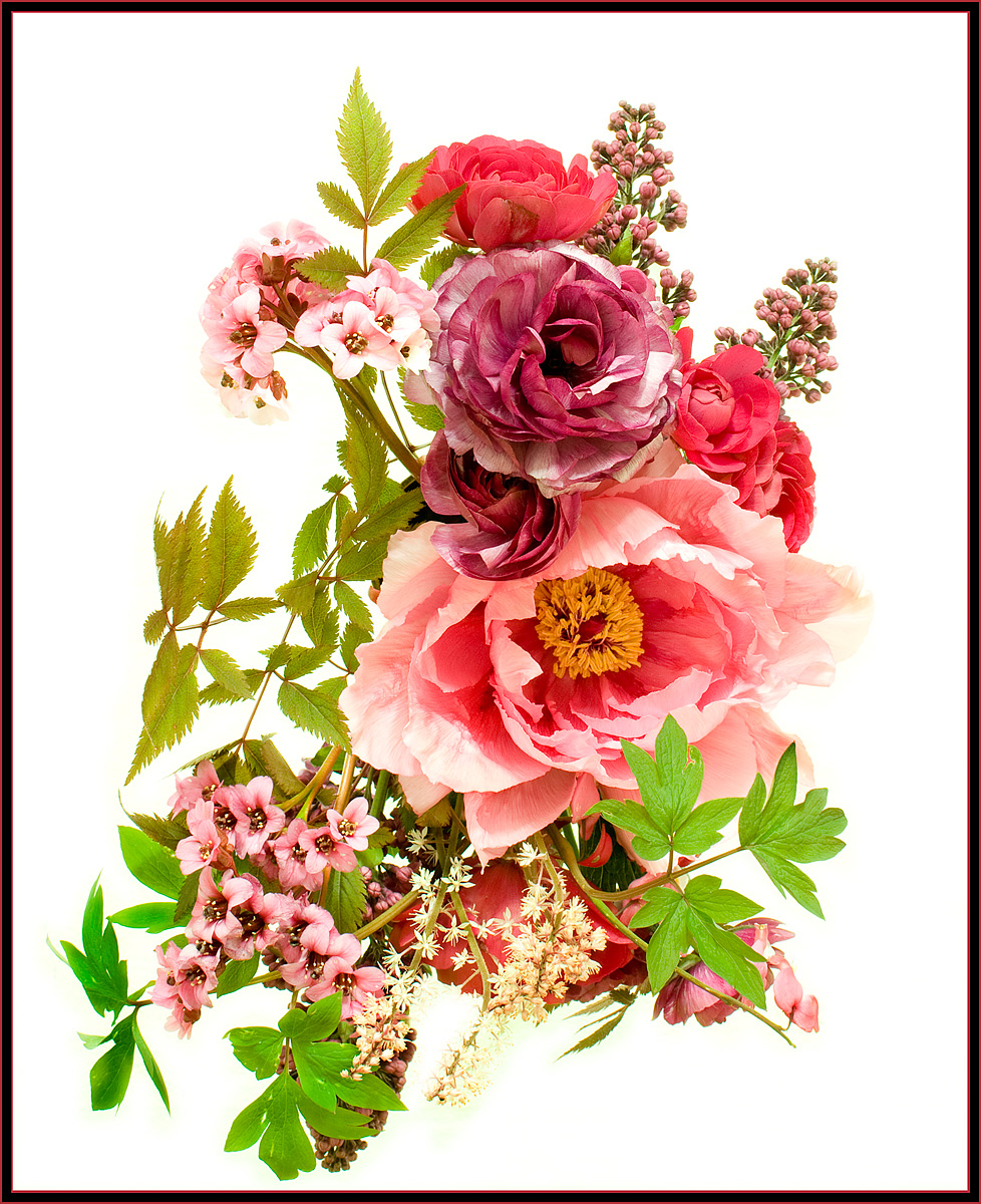 Spring in Color