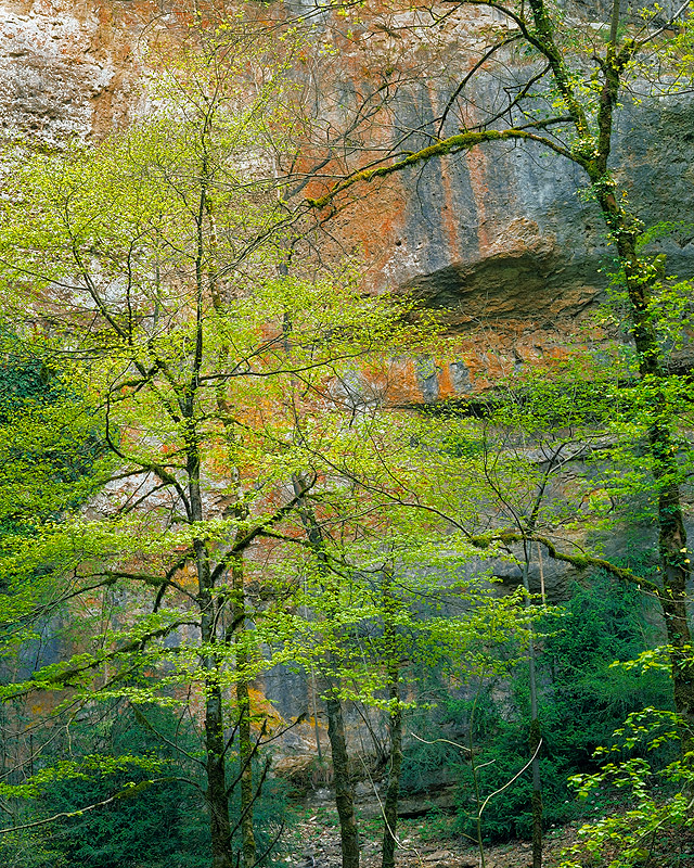 Vallée de la Bienne