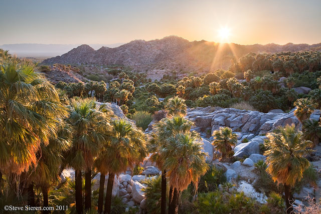 Oasis Light in Baja