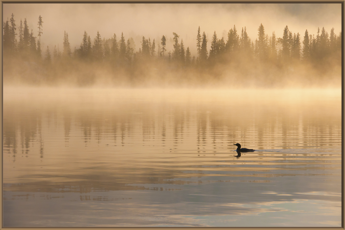 On Golden Pond + Pano 