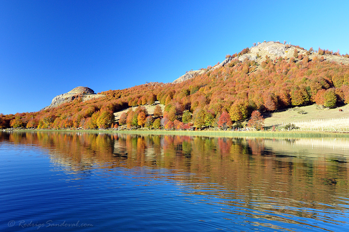 Patagonian Autumn