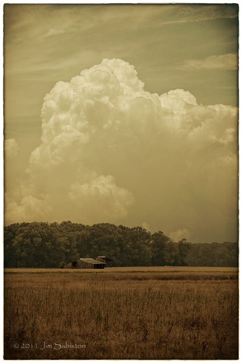 Fallow Fields