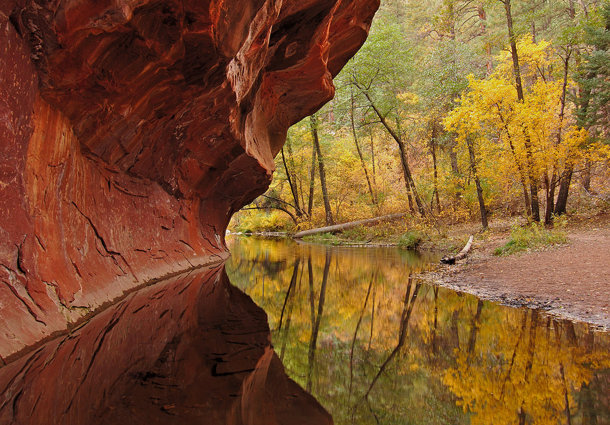 WC#284 West Fork