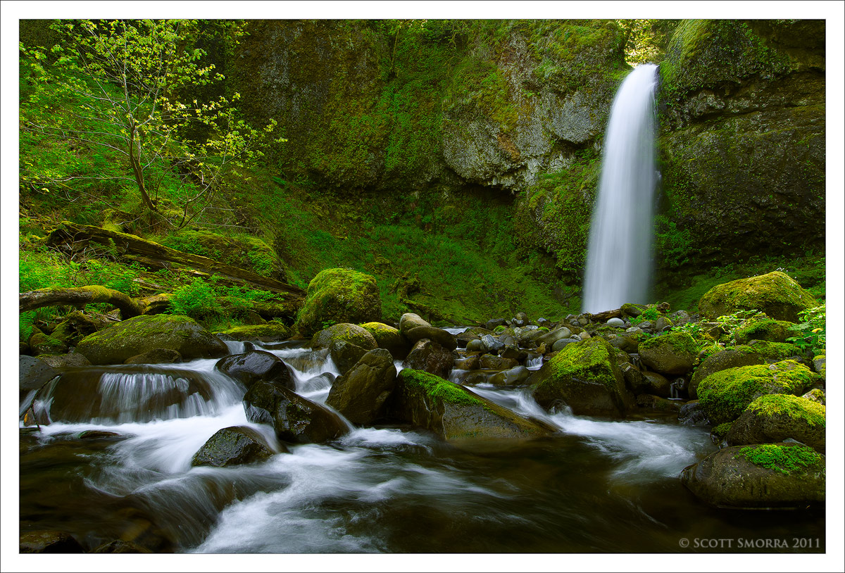 Springtime in the Gorge