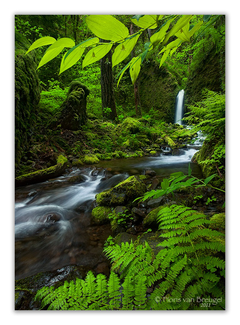 Rivendell