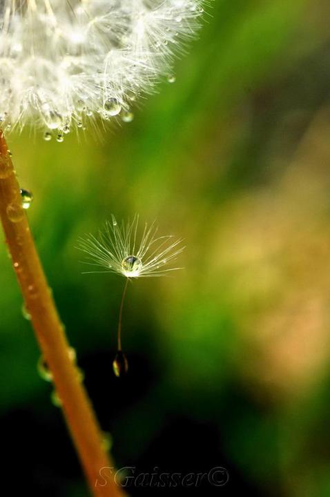 Hanging by a Thread
