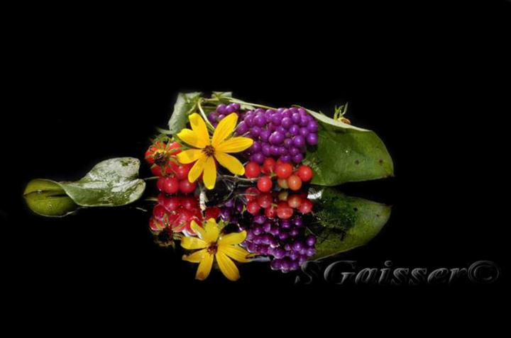 Fall Flowers & Berries