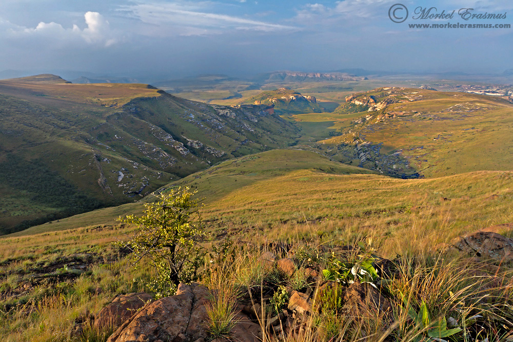 Maluti Mountain Vista