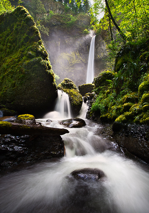 The Mist of Elowah