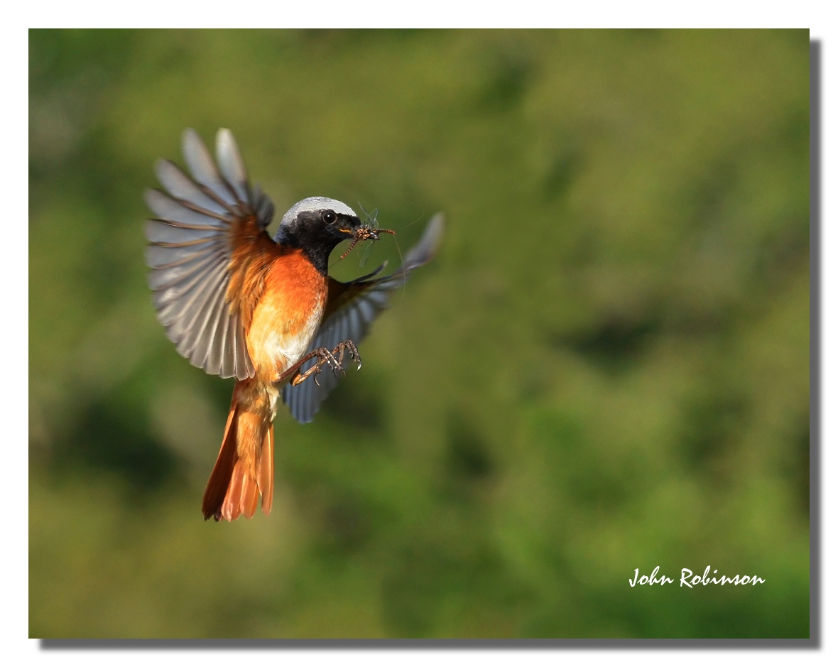 Redstart Flight Test