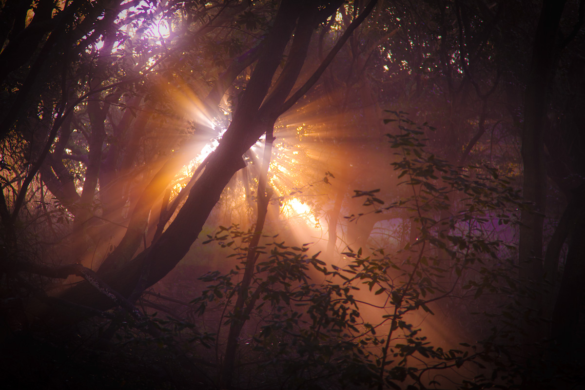 Sun Bursting Through Fog