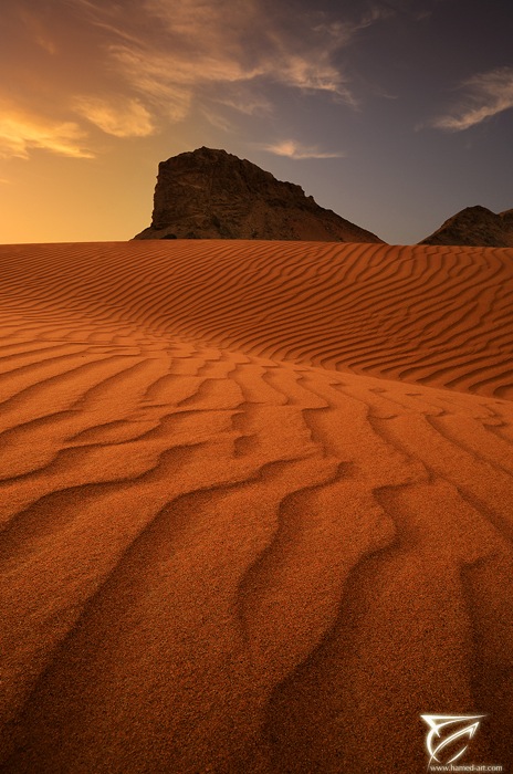 Roots of Desert