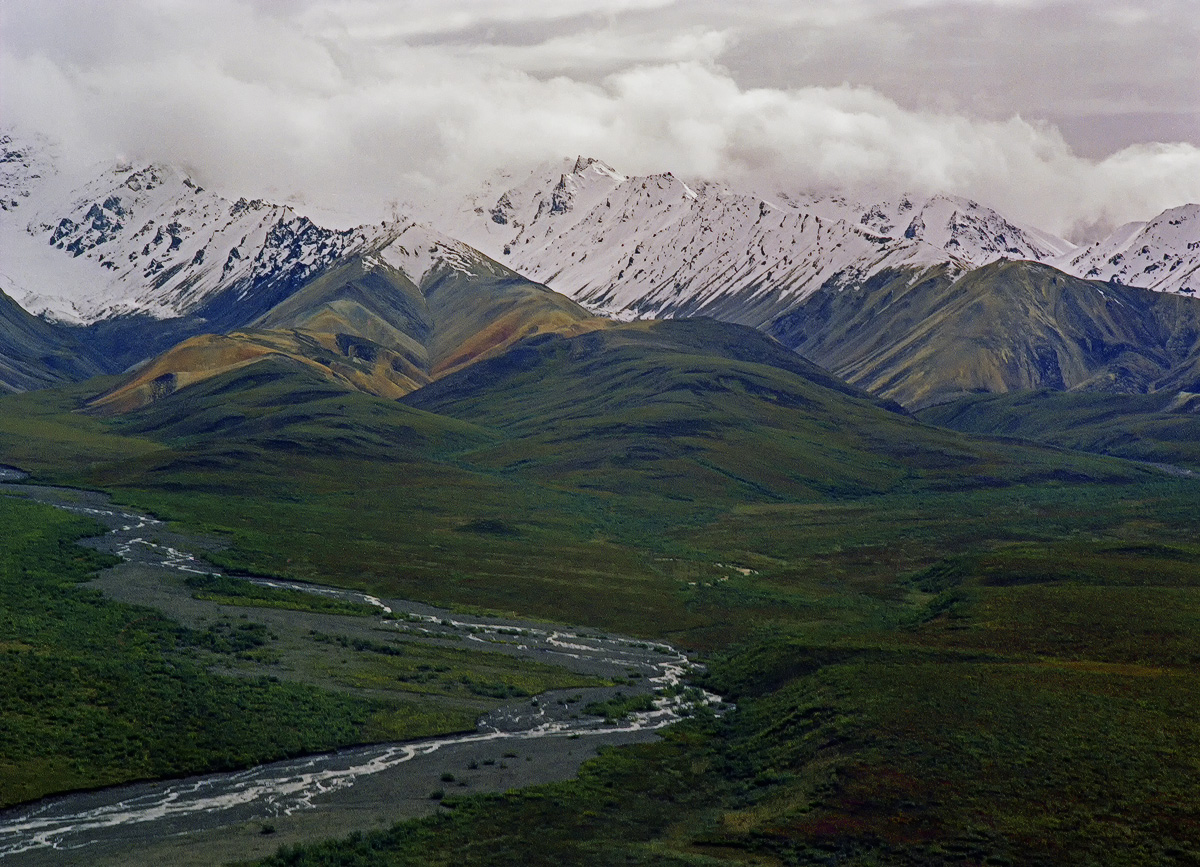 On the Road to Denali