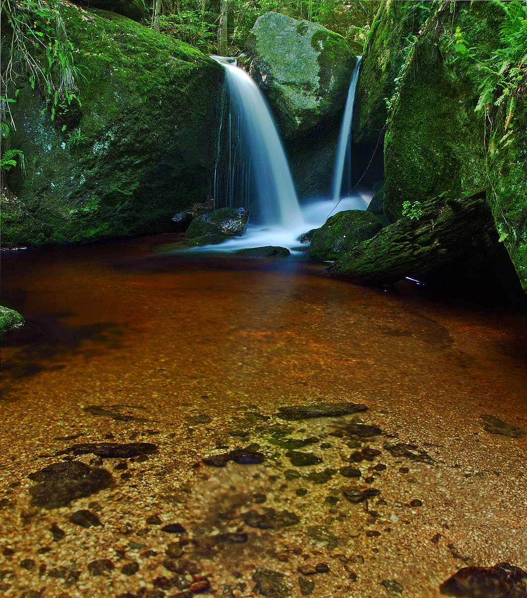 Ysperklamm III