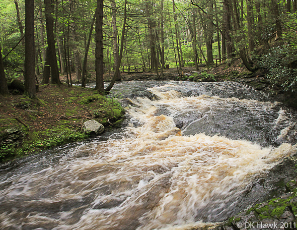 Flowing River
