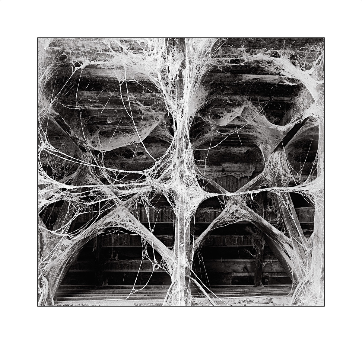 WC486-shelob's lair