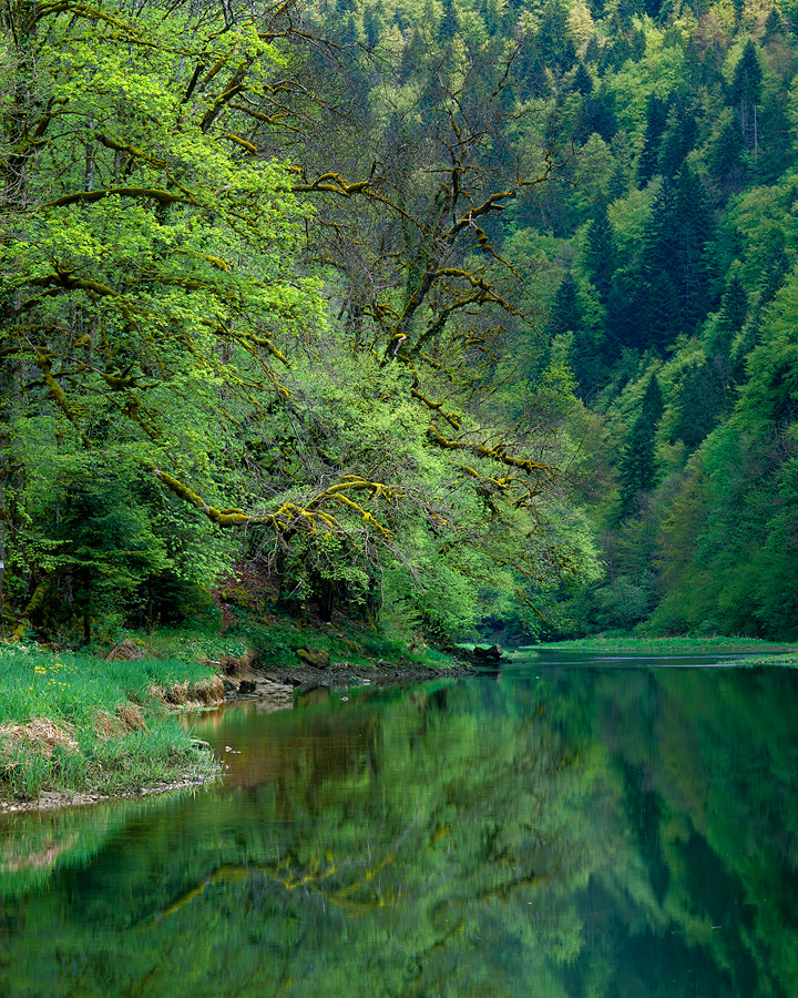 Gorges du Doubs