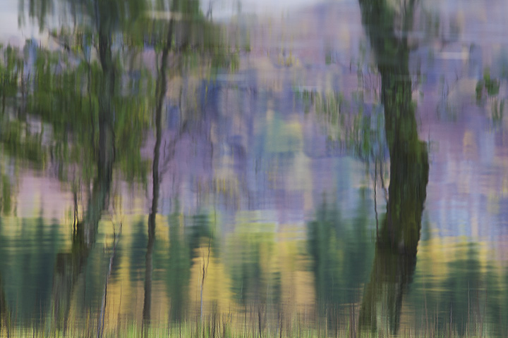 Monet (2 versions)