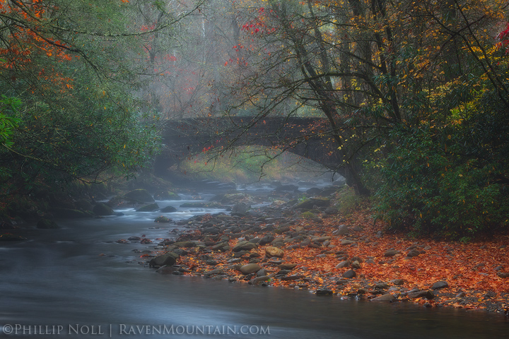 A Bridge to Dreams
