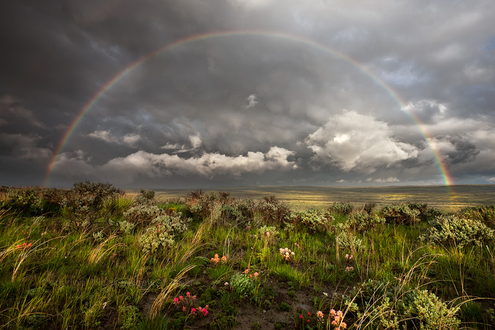 Afterbow