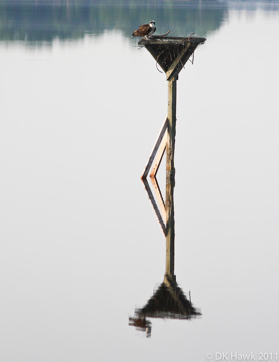 Reflections