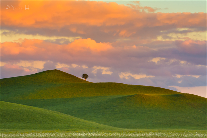 Mother Earth