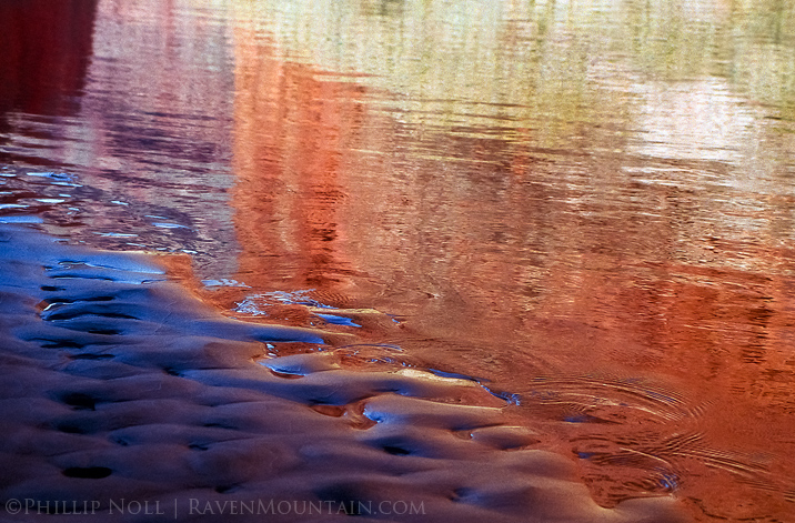 Redwall Reflections