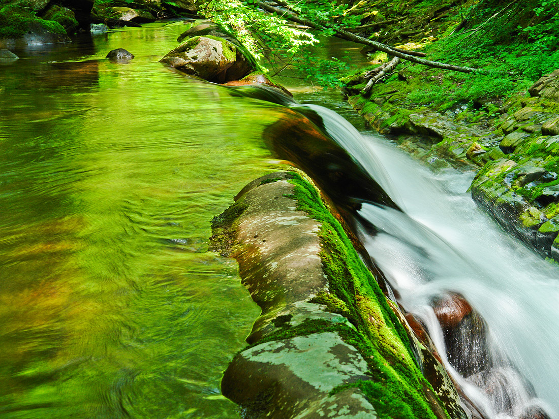 Emerald Stream