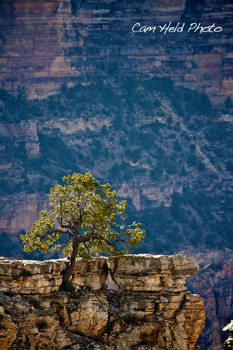 REPOST - Grand Canyon Overlook