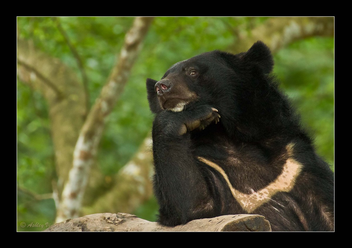 Thoughtful Scrutiny