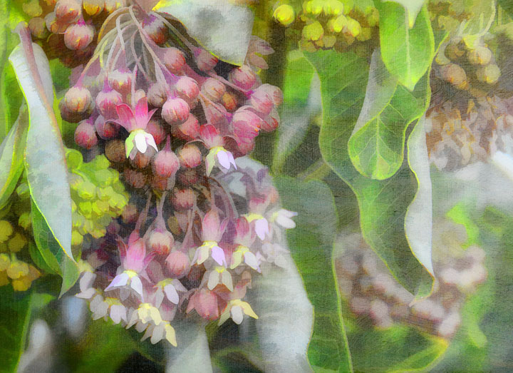 Along The Roadside