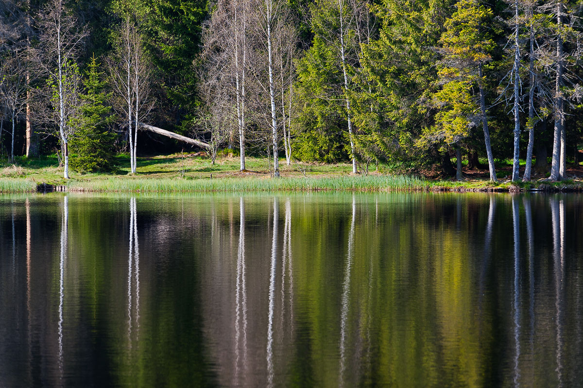 Reflections