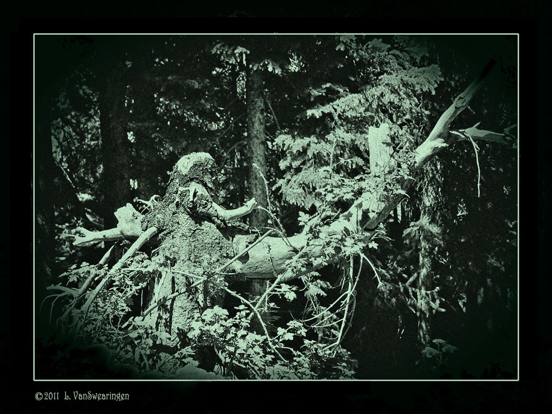 Ancient Carpenter