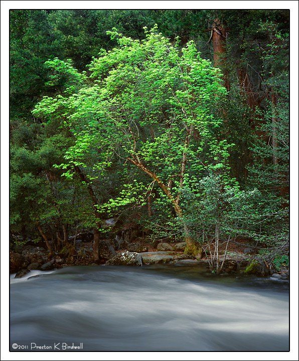 Across the River