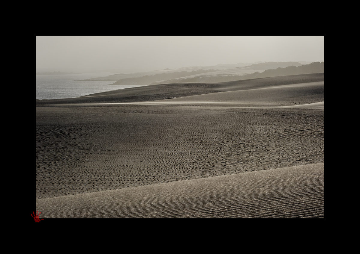 windy dunes