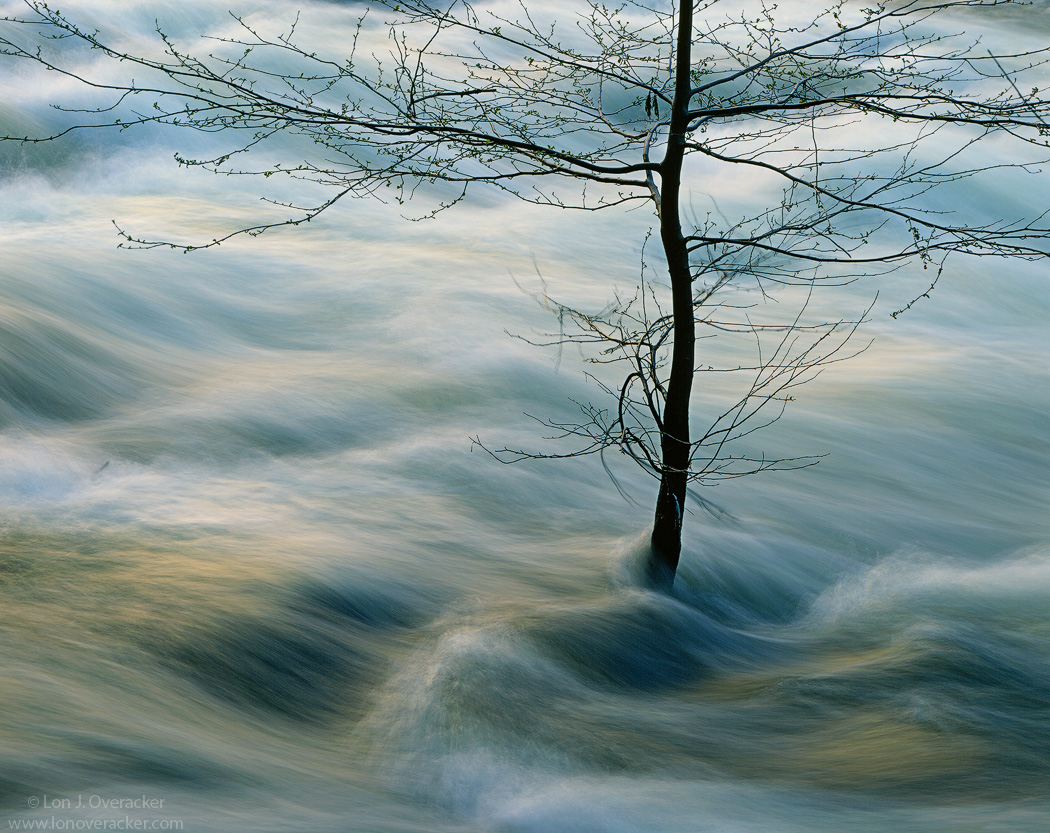 In the Flow IV