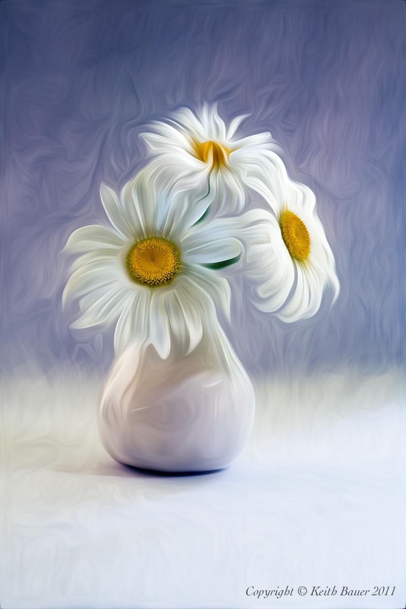 Daisies