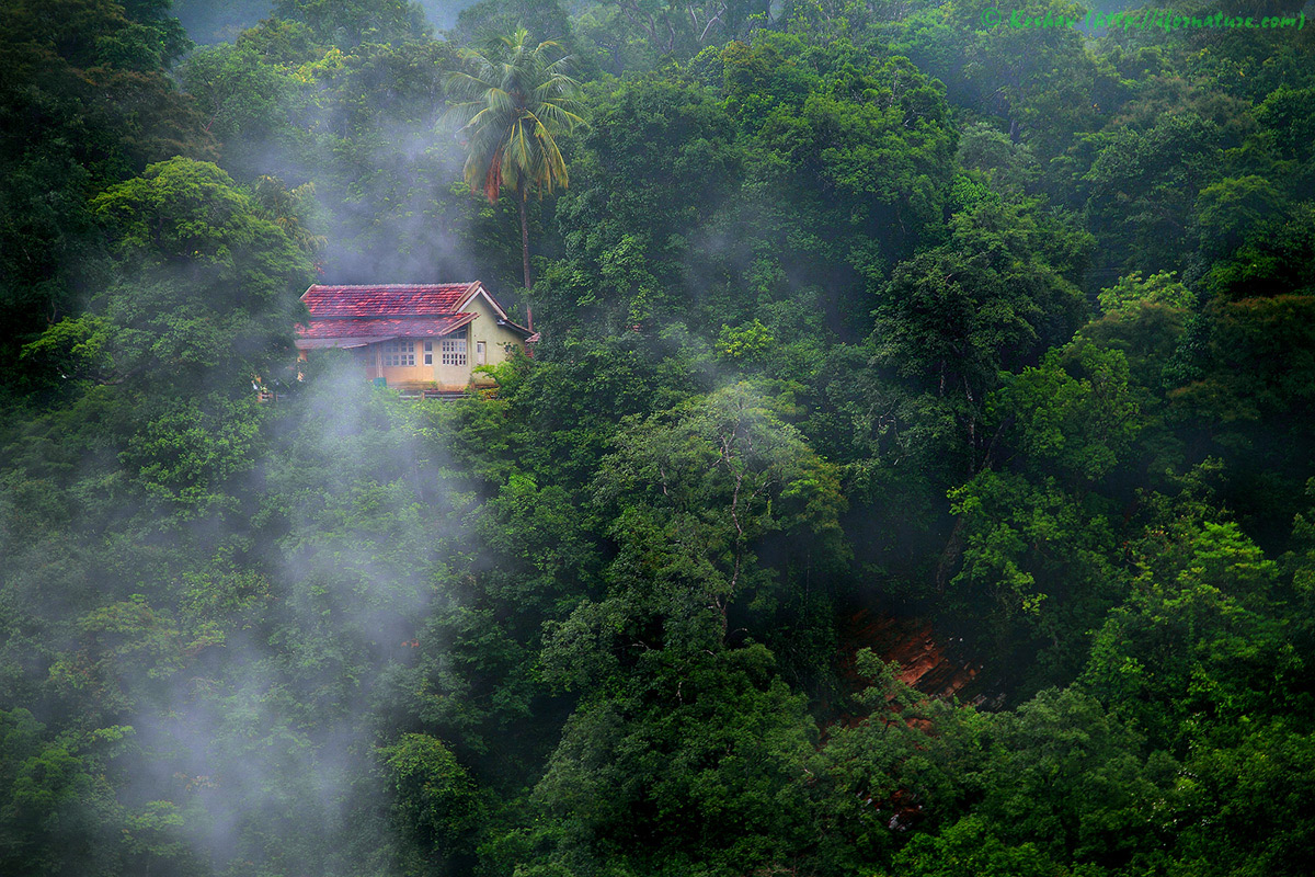 House in Nature
