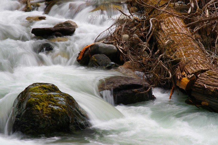 Hidden Creek