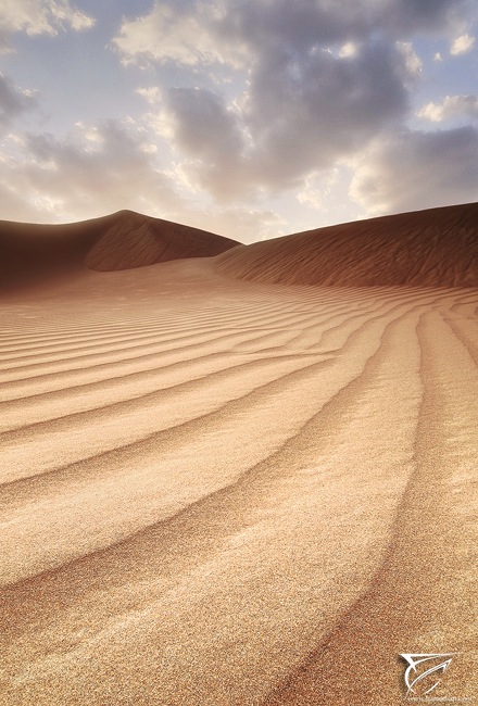 White Sand Tracks