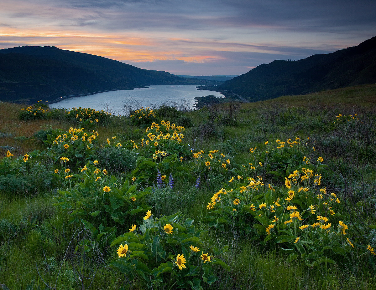 Rowena Plateau, Dawn
