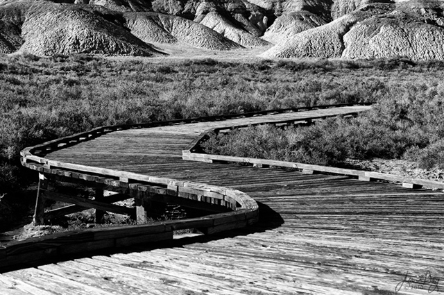Salt Creek Boardwalk