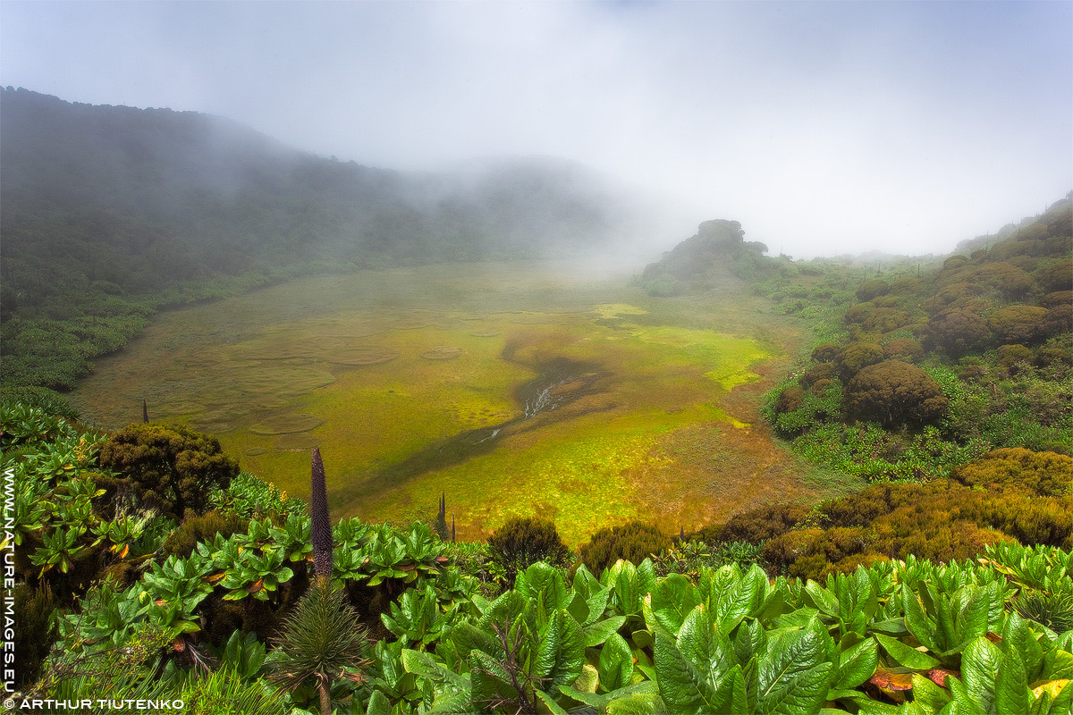Mount Gahinga Crater