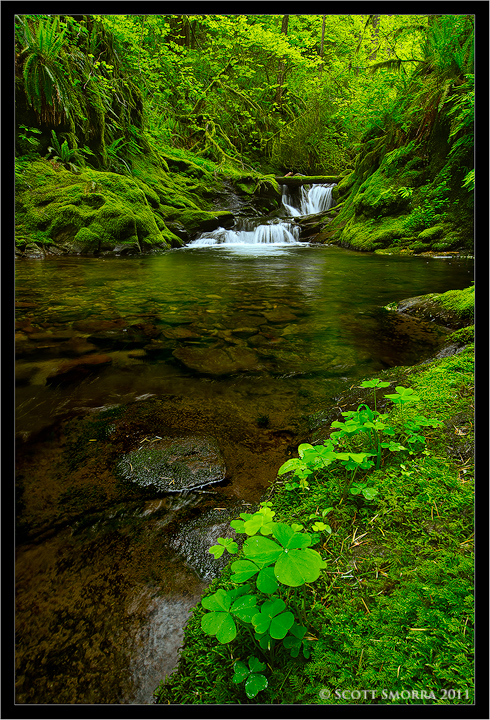 Tranquility