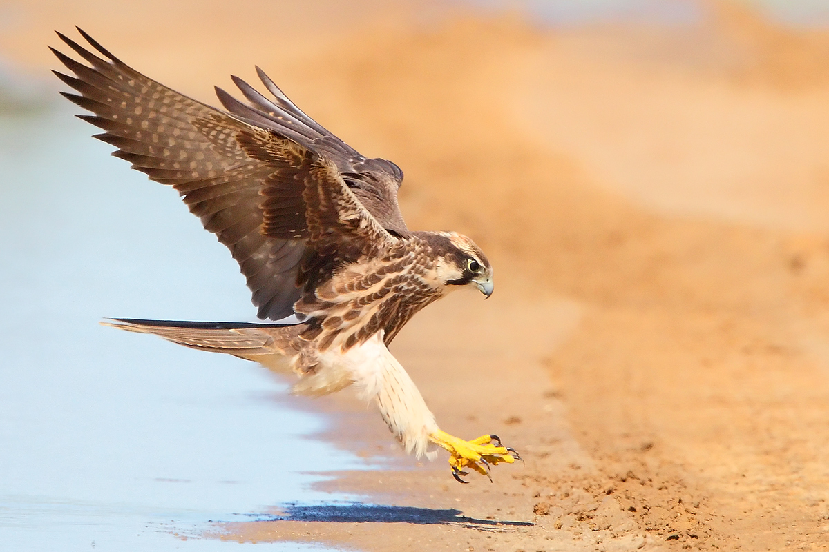 Hot landing!