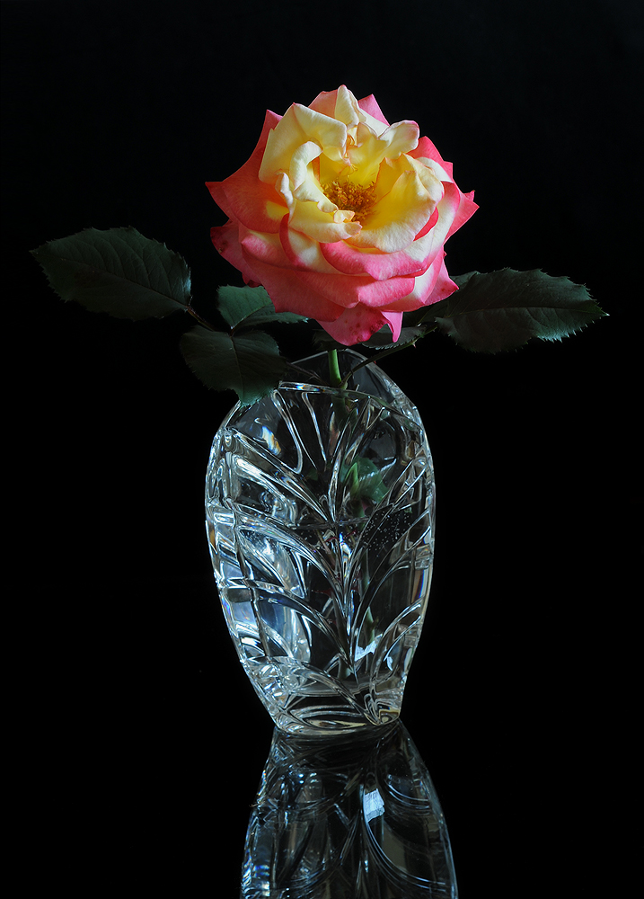 Rose and crystal